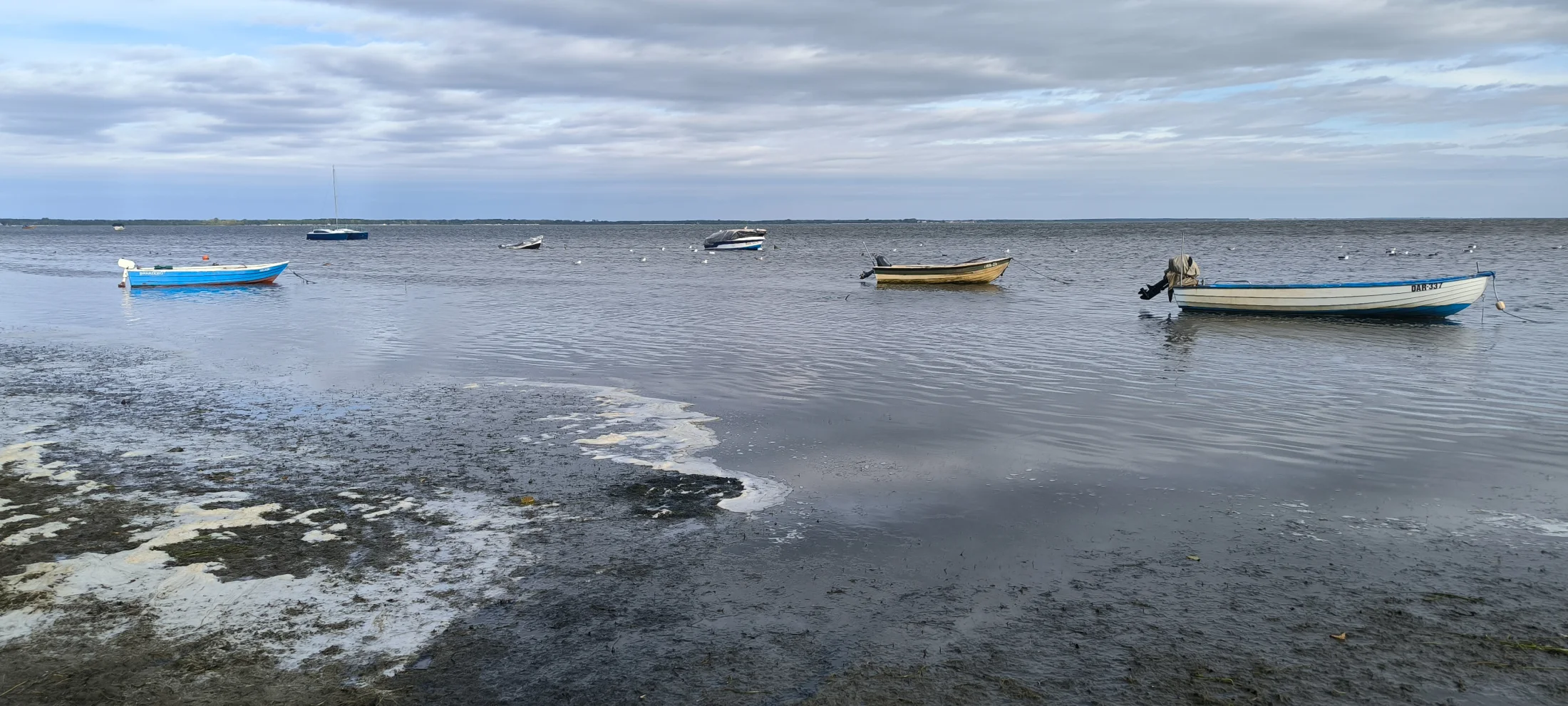 Szeroki widok łodzi rybackich zacumowanych na spokojnej zatoce Bałtyku, panorama wybrzeża